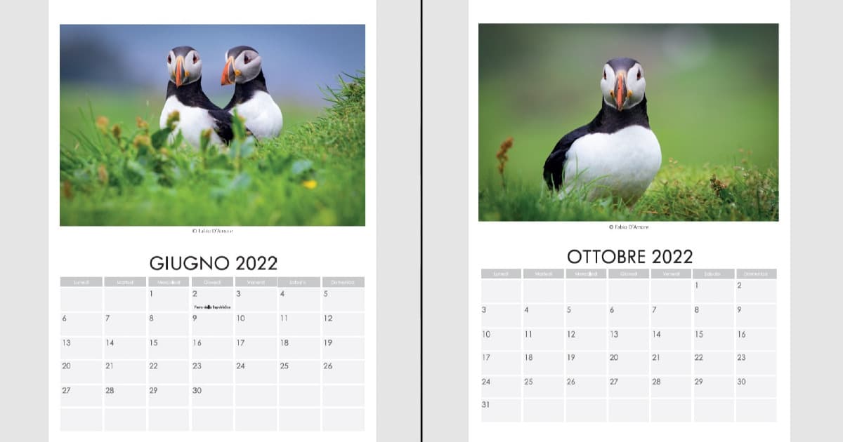 Calendari 2022 Isole Faroe e Puffin-Fabio D'Amore