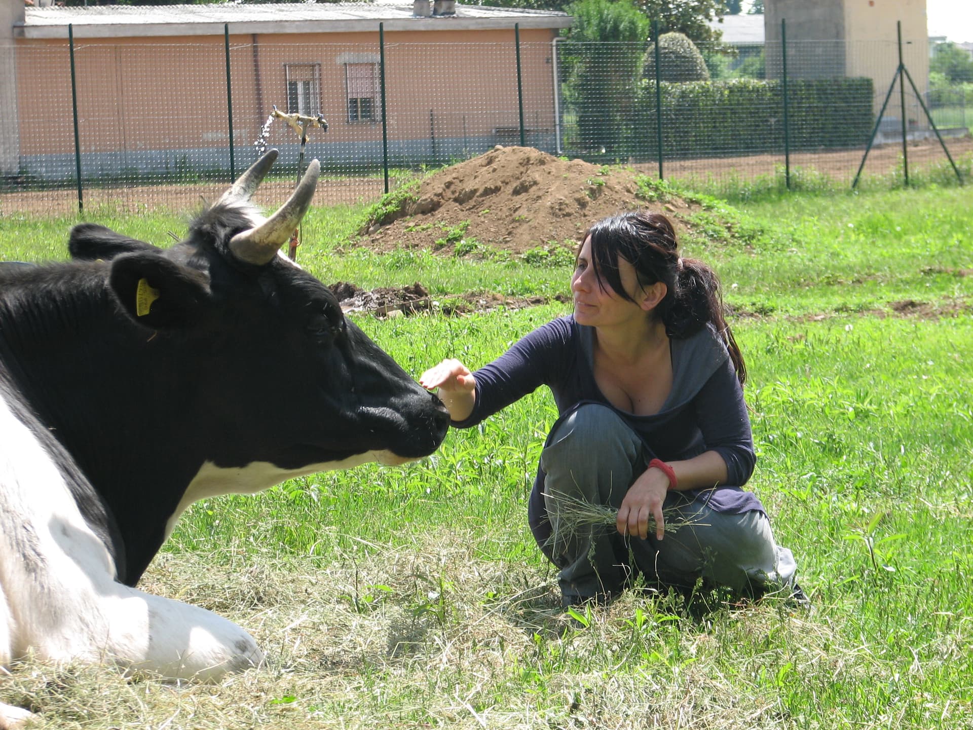 -