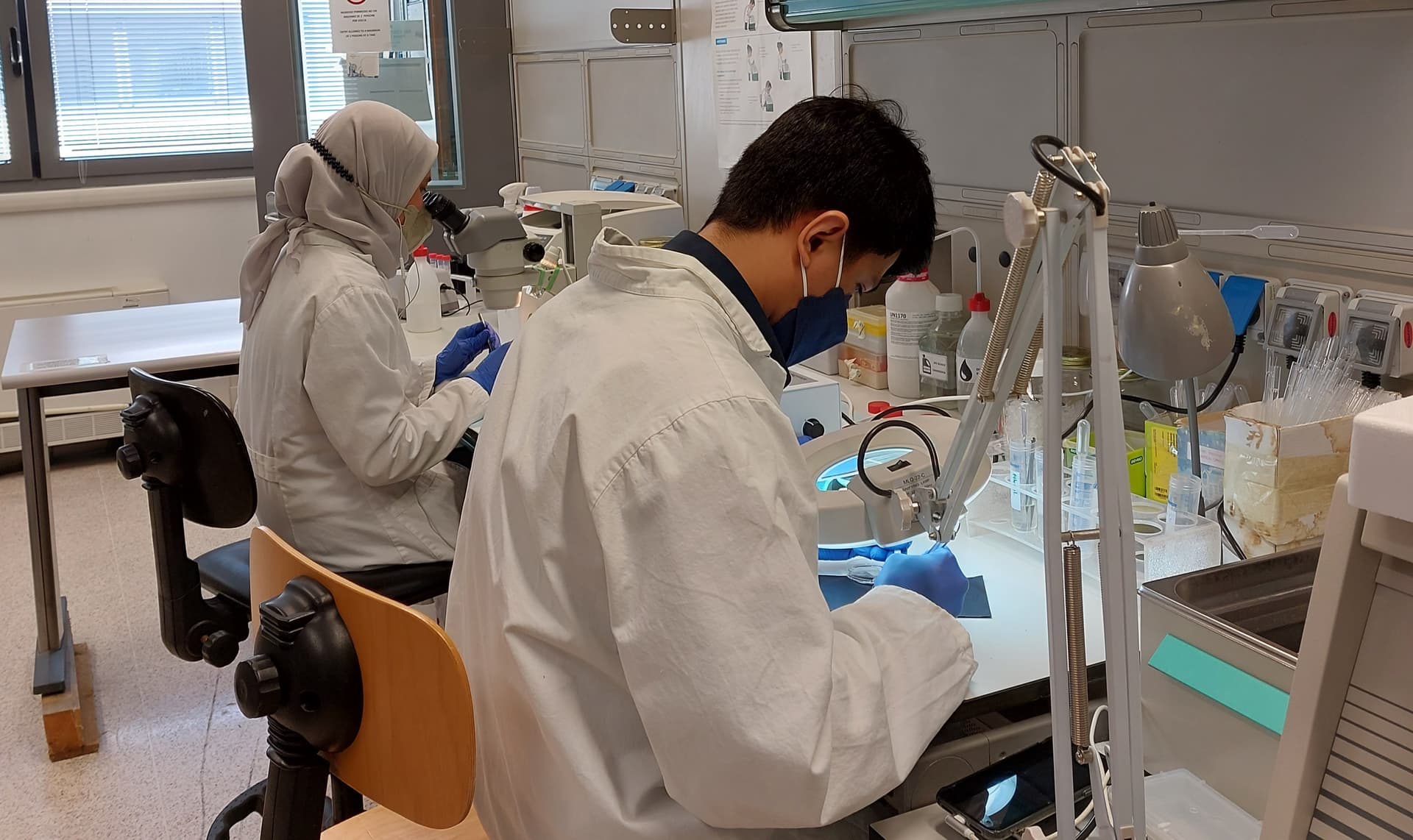 Progetto LIVER-BRAIN "Rita Moretti"-Fondazione Italiana Fegato - FIF Onlus