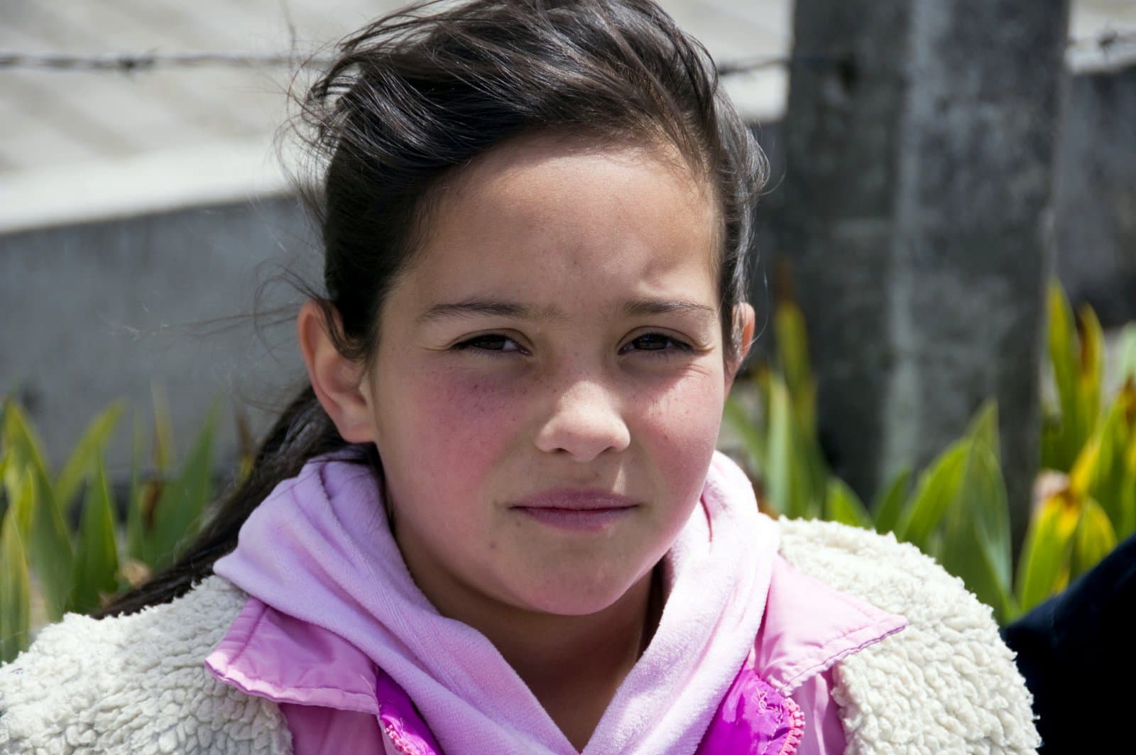Progetto Mariflor / Campagna Flores de paz