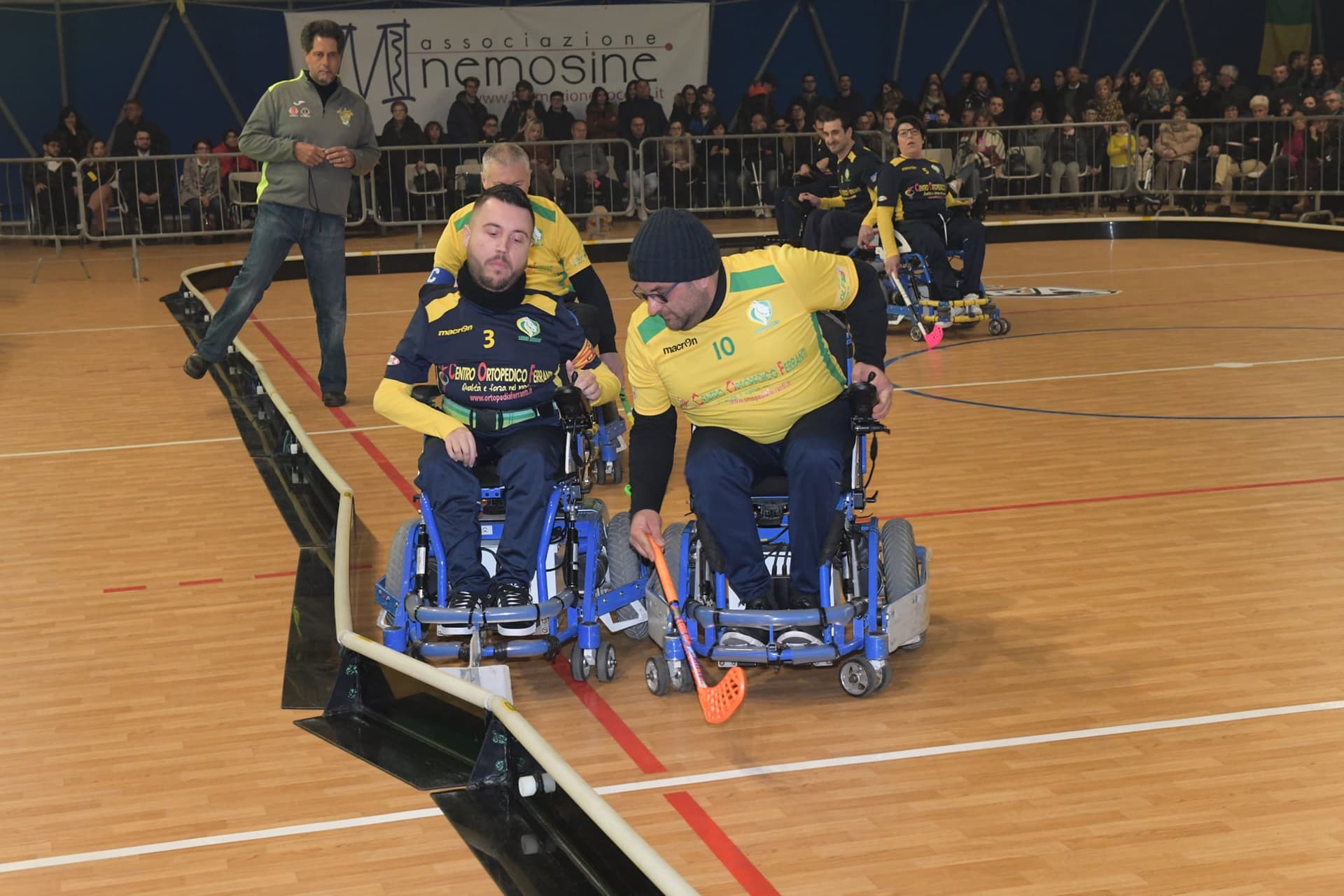 Un pulmino per continuare a ruggire-Leoni Sicani