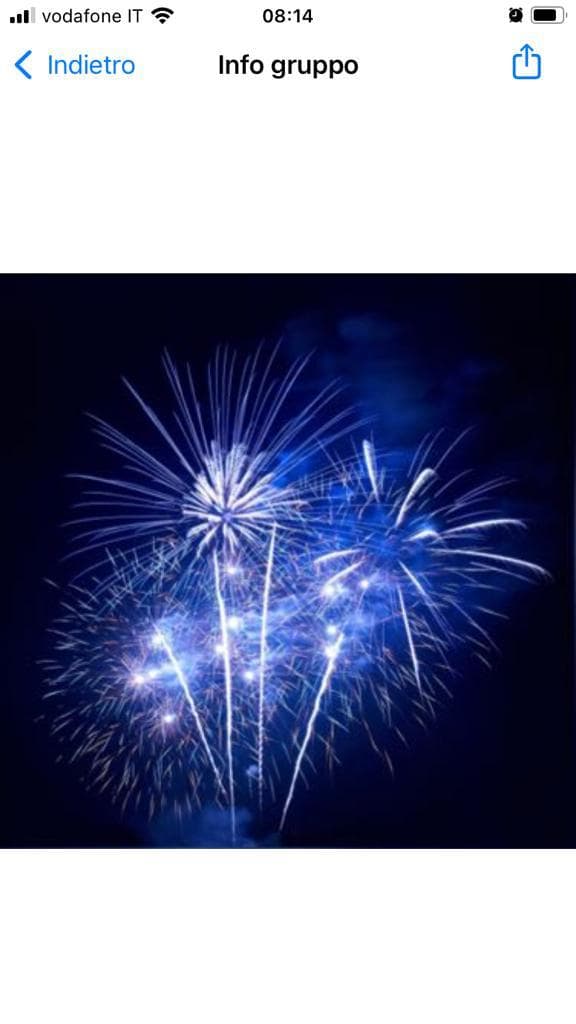Feste su Feste!-Associazione Luisa Berardi