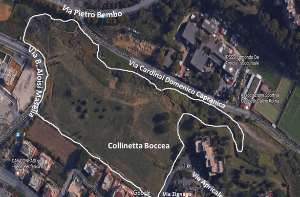 Corri con Comitato Acquafredda Parchi-Comitato Acquafredda Parchi 