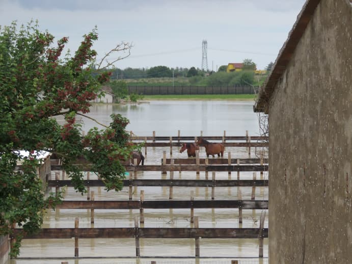 Aiutaci a salvare il centro-Equinia