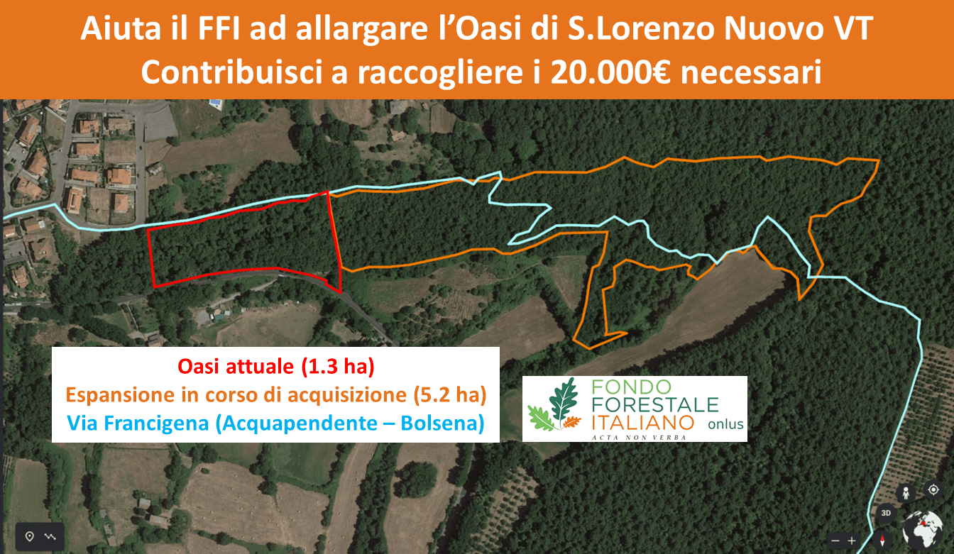  Espandiamo l'Oasi del Fondo Forestale -Fondo Forestale Italiano onlus