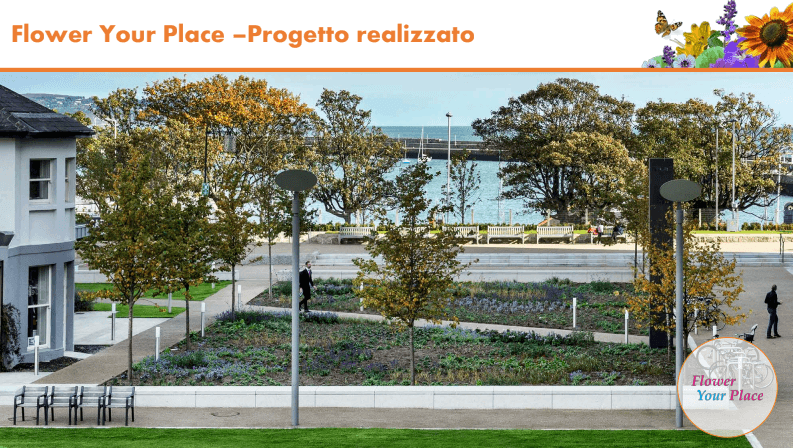 Fai sbocciare il Natale!-Parco Nord
