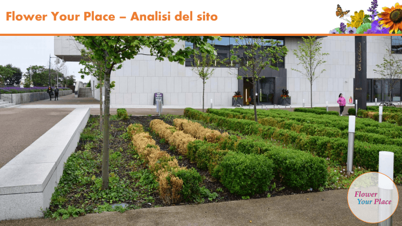 Fai sbocciare il Natale!-Parco Nord