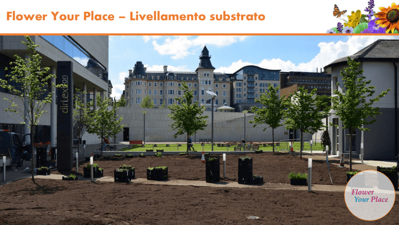 Fai sbocciare il Natale!-Parco Nord