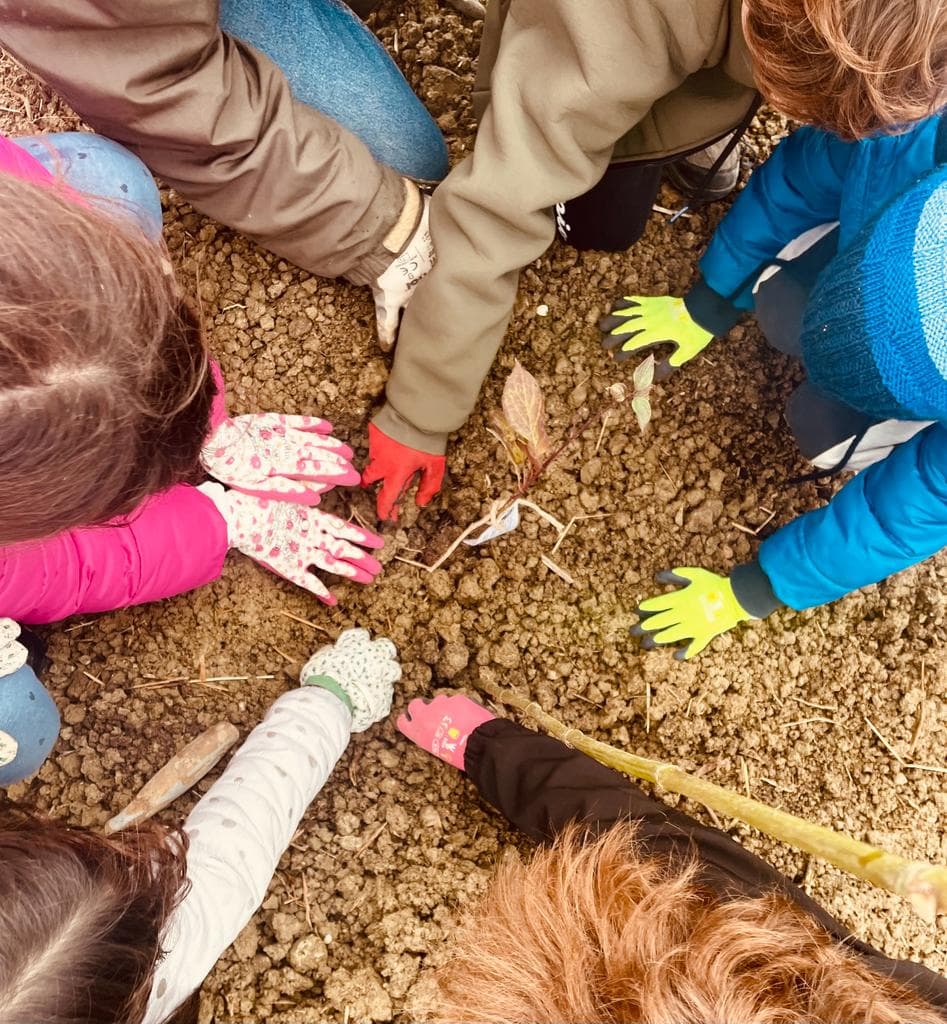 Tutti insieme per il bosco