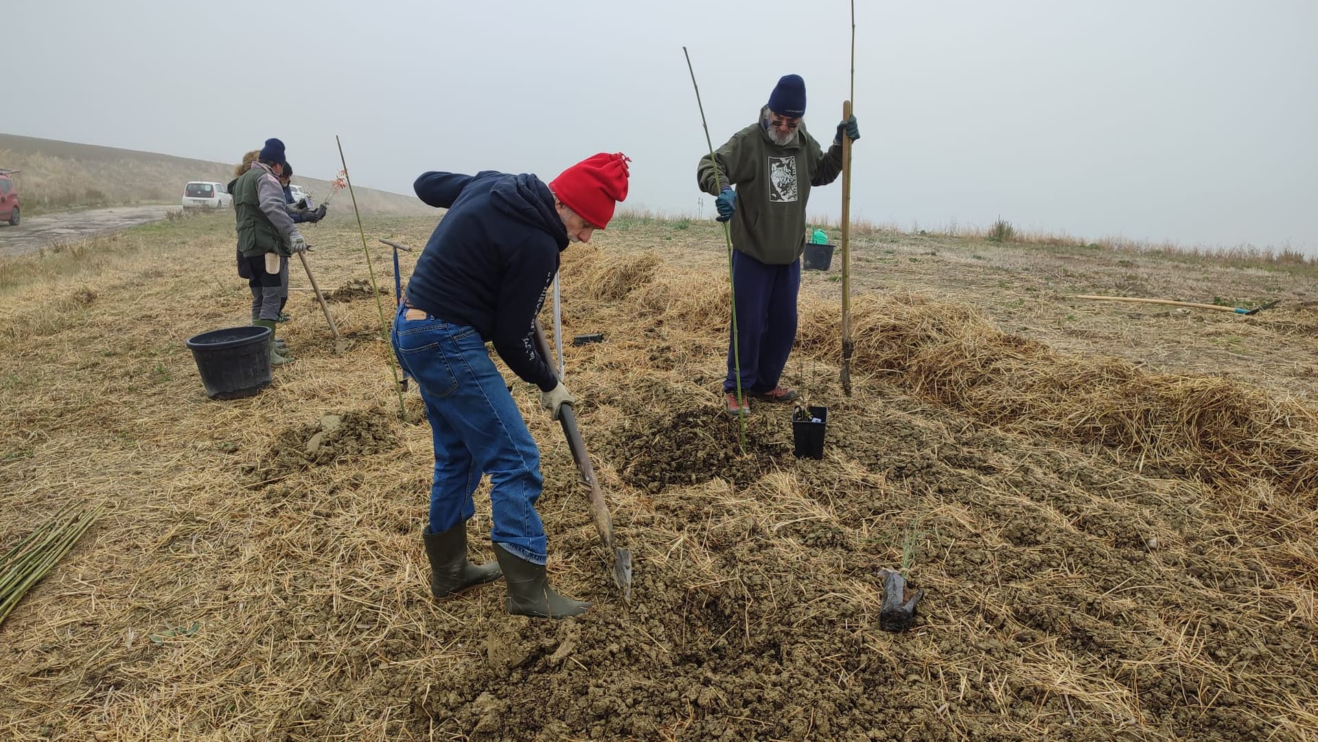 La preparazione del terreno