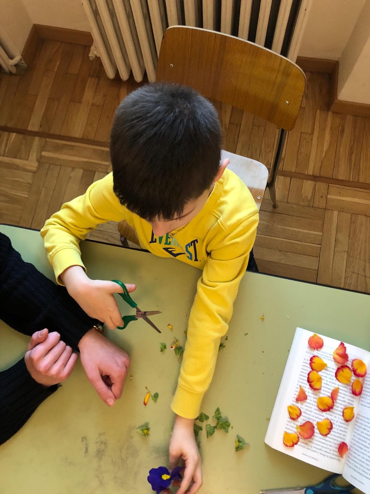 Petali a seccare