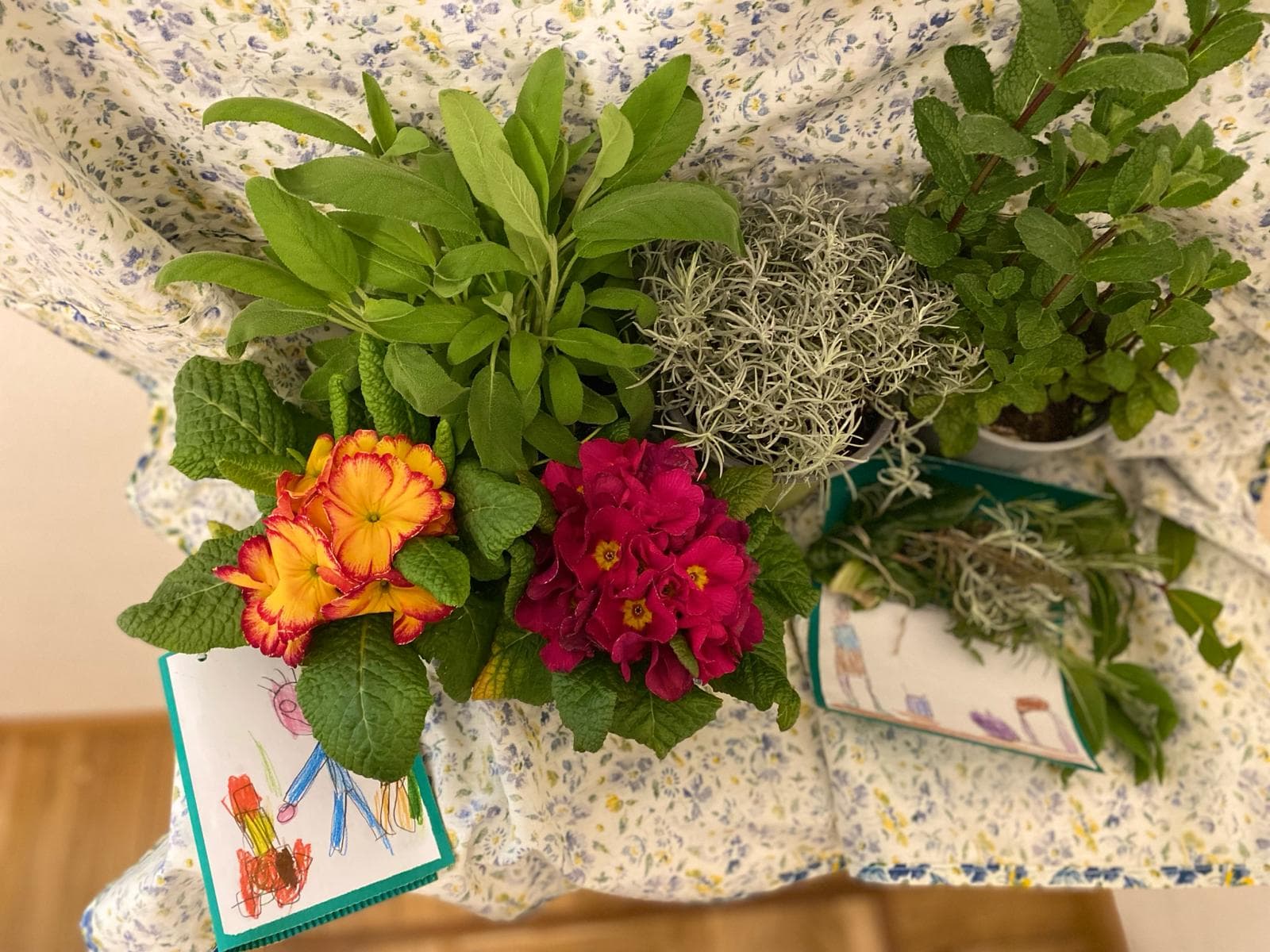 Esplosione di profumi e colori