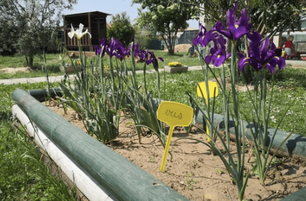 Aula Giardino