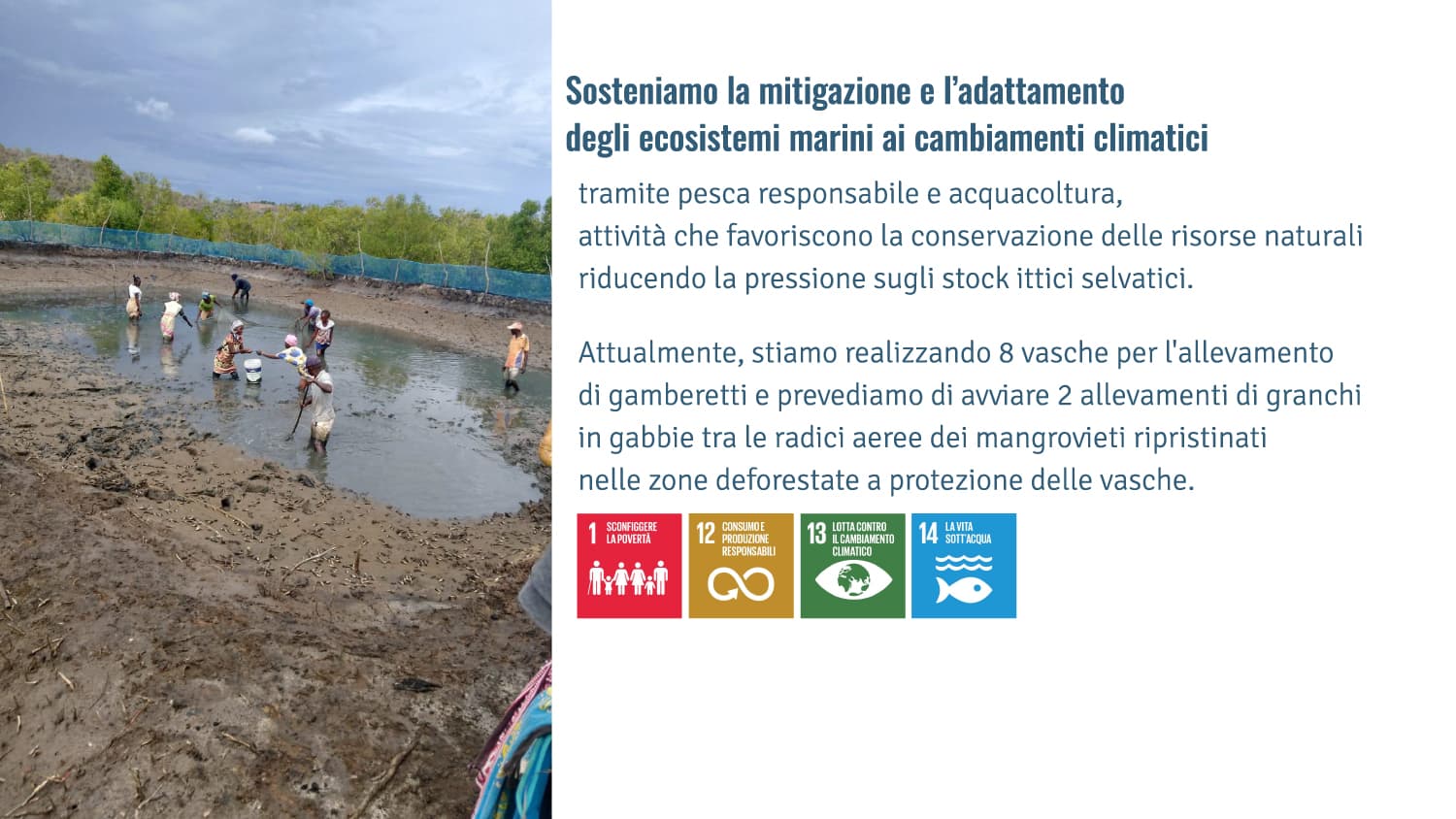 Sosteniamo la mitigazione e l’adattamento degli ecosistemi marini ai cambiamenti climatici