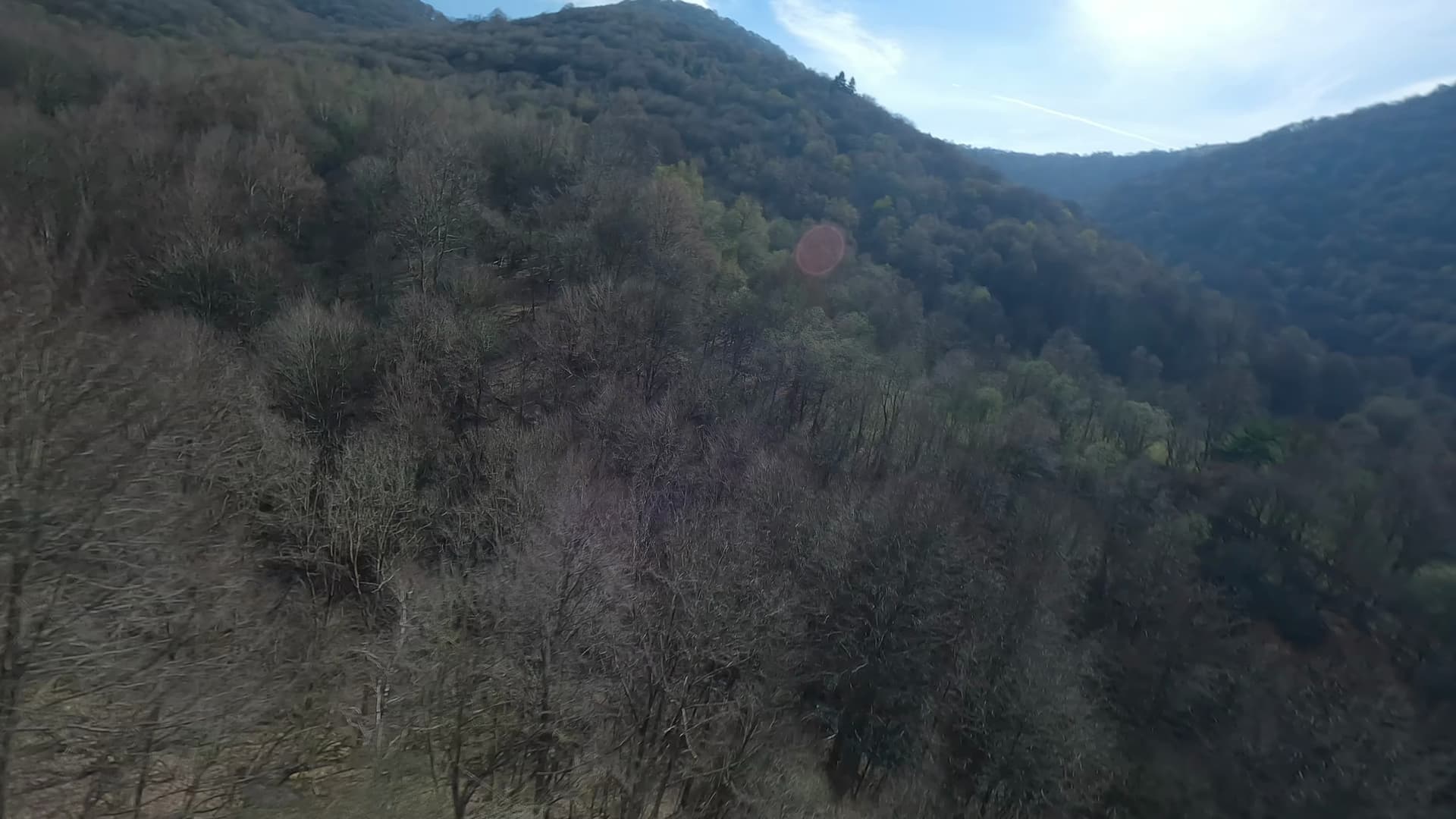 panorama