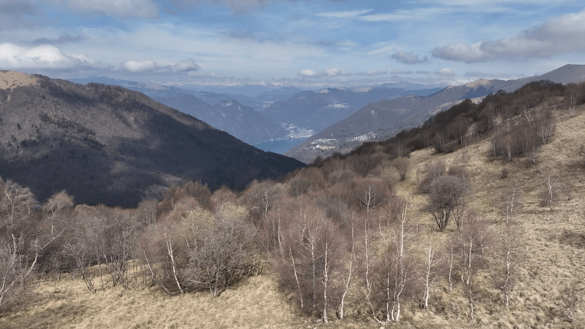 panorama