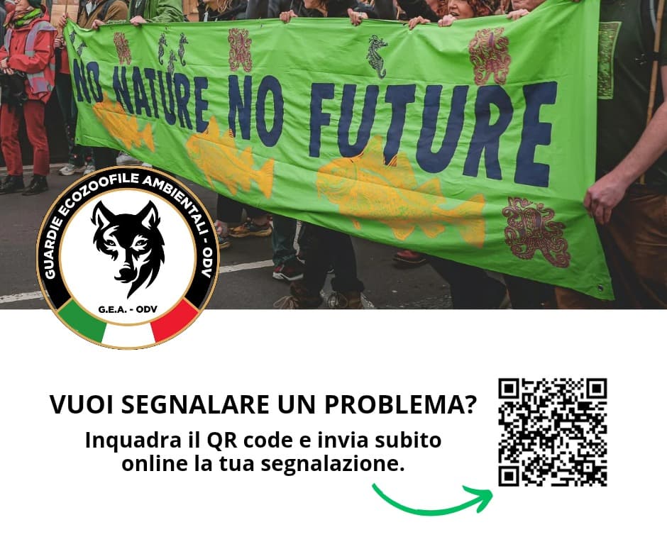 QR Code per segnalazione di ogni reato contro gli Animali e l'Ambiente