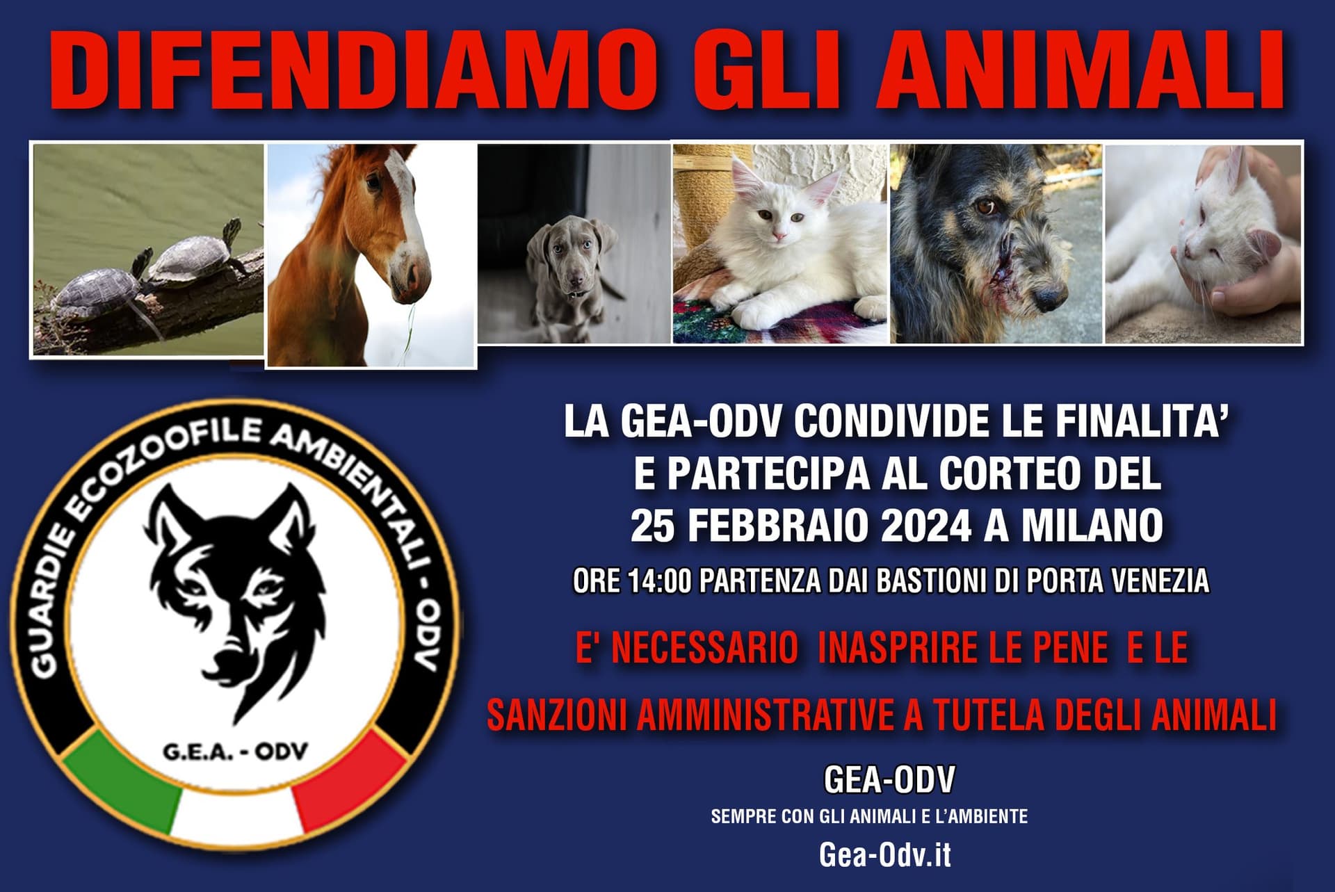 Manifestazione nazionale febbraio 2024