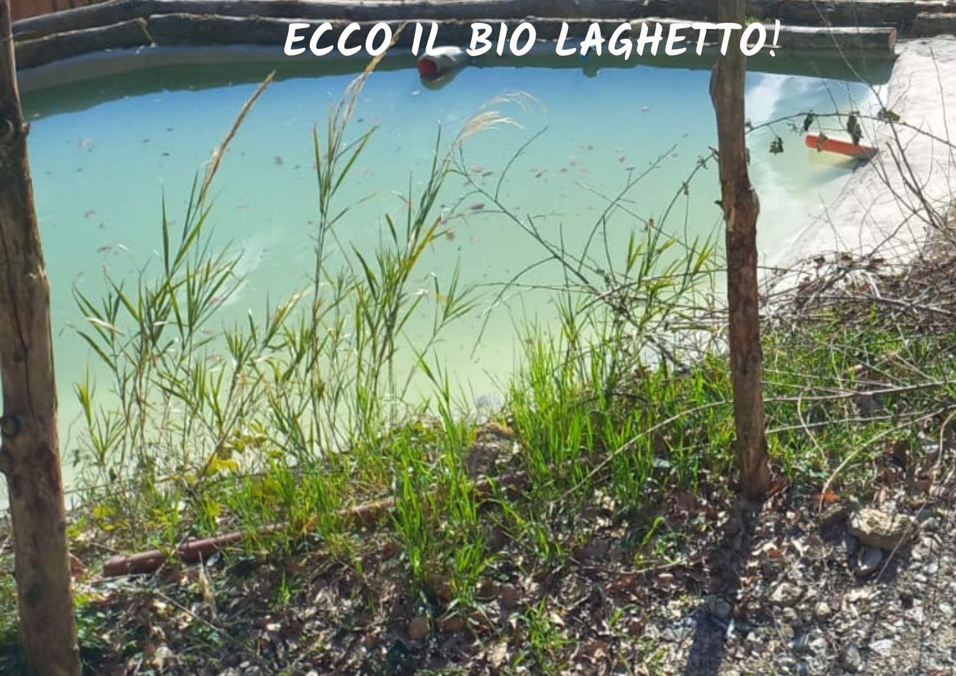 ecco il biolaghetto