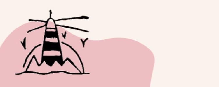 profile