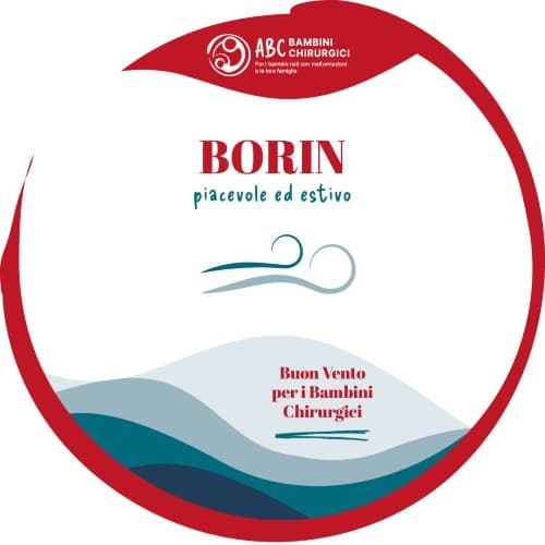 Borin