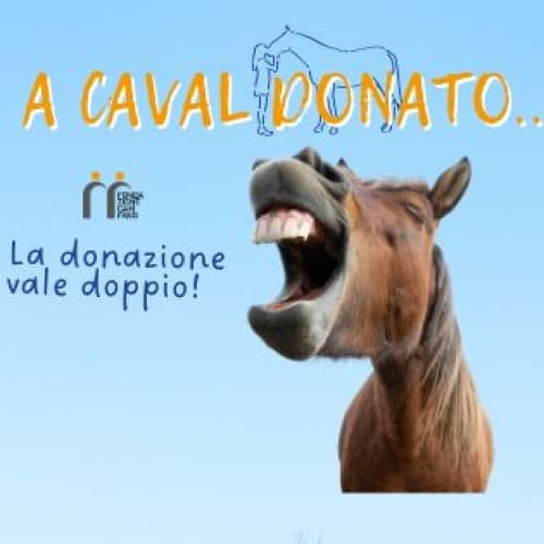 Un giro a Cavallo