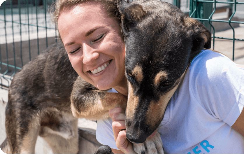Animali e crowdfunding