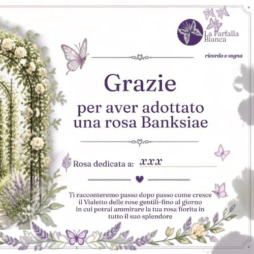 🌹 Adotta una rosa gentile