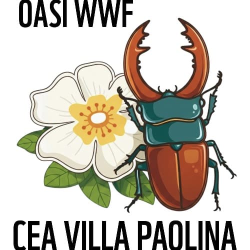 SPILLA DI VILLA PAOLINA