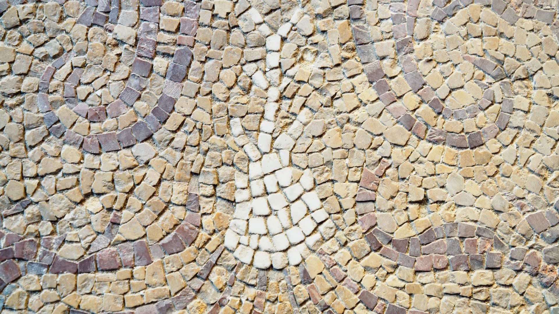 Calamita del Parco