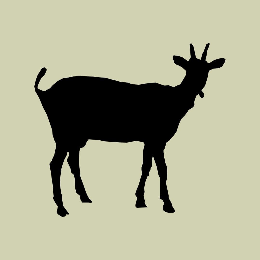 PASCOLO ERGO SUM