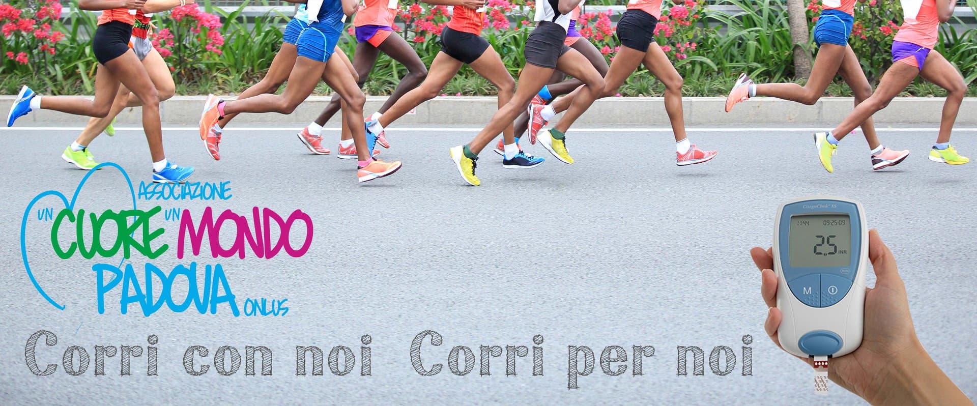 Cardiopatia, Mon Amour di Alice Piccolo Cardiopatia, Mon Amour-Alice Piccolo