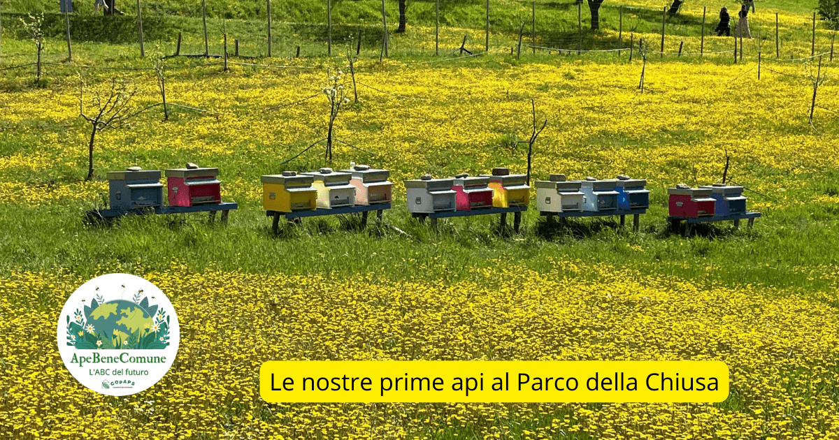 ApeBeneComune - L'ABC del futuro di COpAPS ApeBeneComune - L'ABC del futuro-COpAPS