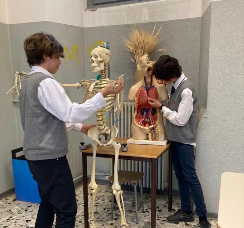 TEATRO INCLUSIVO , TEATRO PER TUTTI di Associazione Scuola Vivaio TEATRO INCLUSIVO , TEATRO PER TUTTI -Associazione Scuola Vivaio