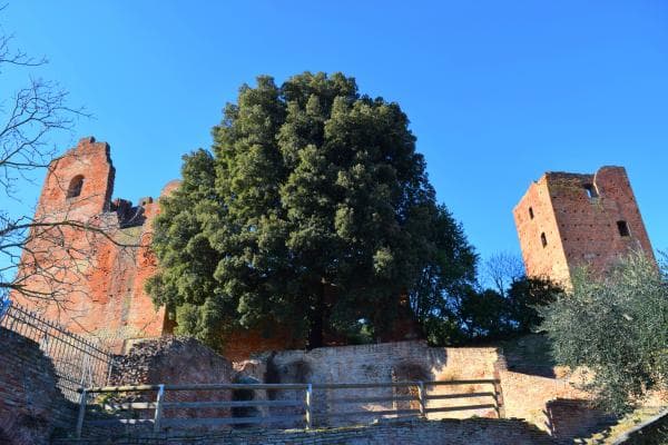 Fucecchio, Il Parco al Centro di PromoCultura Fucecchio, Il Parco al Centro-PromoCultura