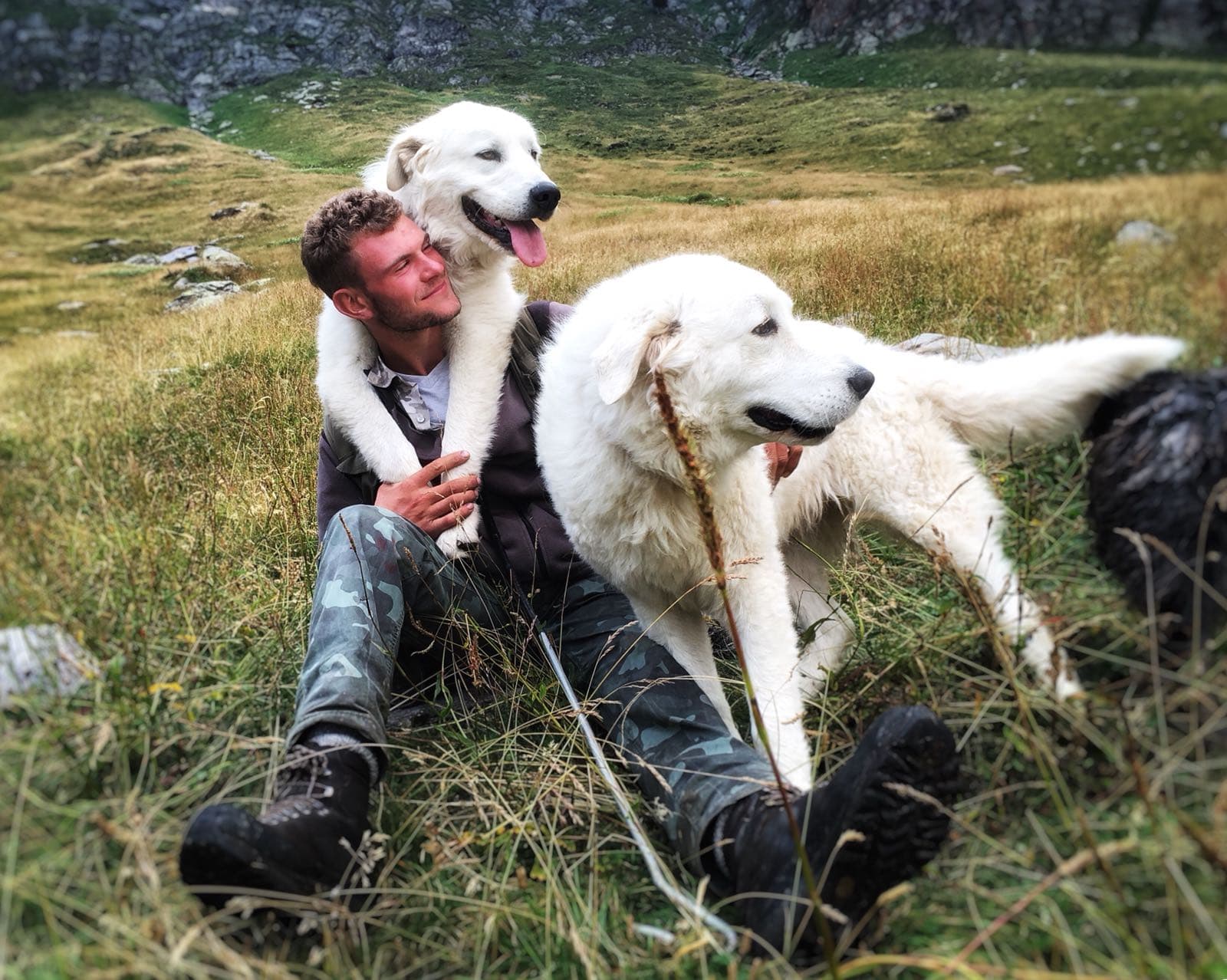 Lupo e orso: una storia a lieto fine! di Eliante Lupo e orso: una storia a lieto fine!-Eliante