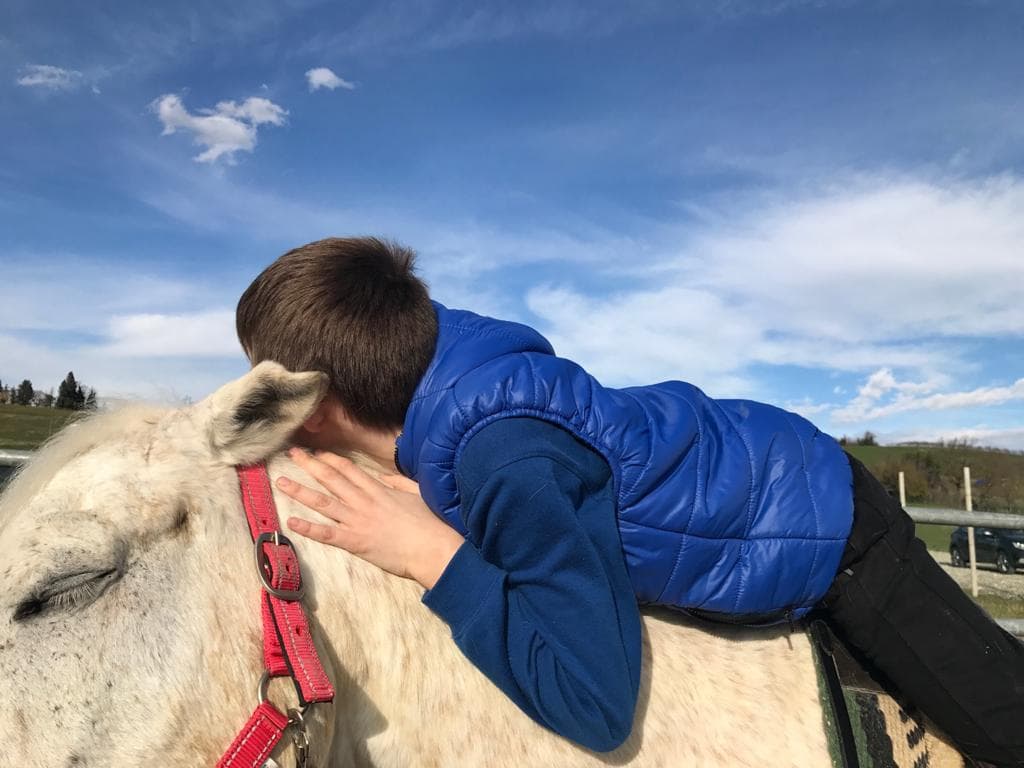 Un Cavallo per Amico di Il Cuore La Mente La Conoscenza O.d.v. Un Cavallo per Amico-Il Cuore La Mente La Conoscenza O.d.v.