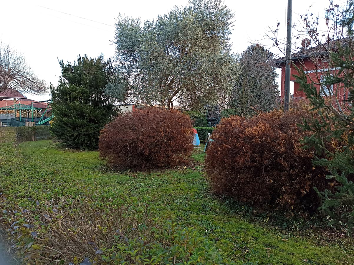 Il Giardino dei Piccoli di ROTARY CLUB VALLE MOSSO Il Giardino dei Piccoli-ROTARY CLUB VALLE MOSSO