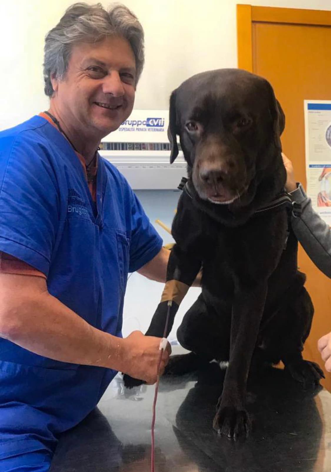 Cane donatore, amici di sangue di Confido in Brugherio Cane donatore, amici di sangue-Confido in Brugherio