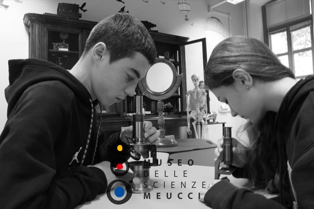 Museo delle Scienze Meucci di I.C. PACCHIOTTI VIA REVEL Museo delle Scienze Meucci-I.C. PACCHIOTTI VIA REVEL