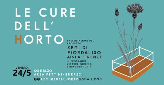 Semi di Fiordaliso di AISLA Onlus Semi di Fiordaliso-AISLA Onlus