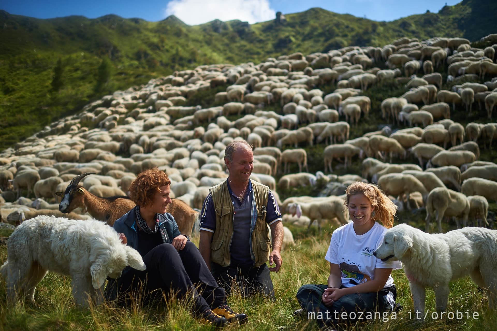 Lupo e orso: una storia a lieto fine! di Eliante Lupo e orso: una storia a lieto fine!-Eliante