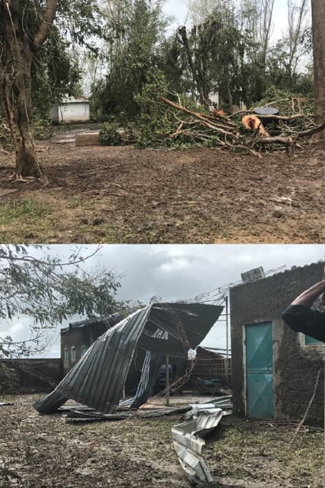 Aiutaci a ripartire dopo il ciclone Idai di HUMANA People to People Italia Aiutaci a ripartire dopo il ciclone Idai-HUMANA People to People Italia
