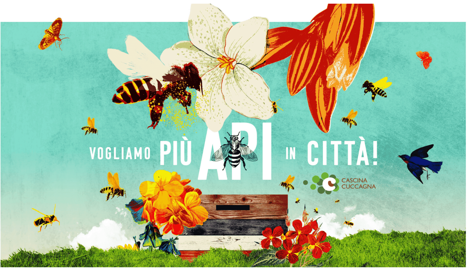 Vogliamo più api in città! di Cascina Cuccagna Vogliamo più api in città!-Cascina Cuccagna