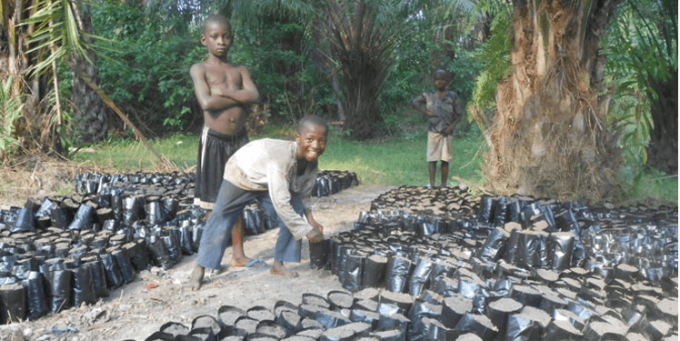 Un cuore per la Sierra Leone di COOPI Un cuore per la Sierra Leone-COOPI