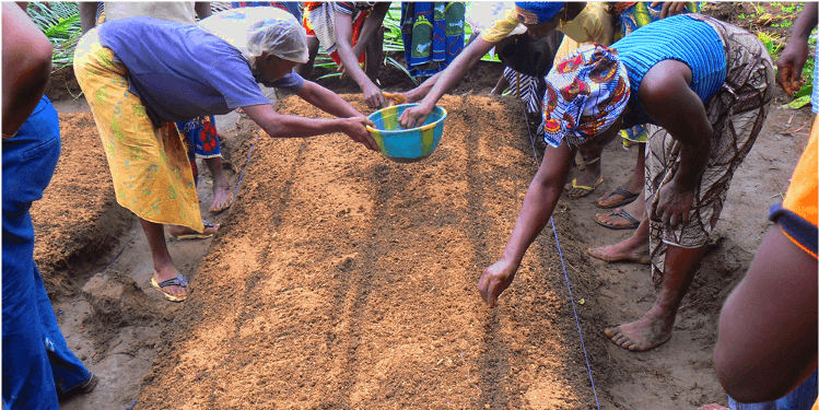 Un cuore per la Sierra Leone di COOPI Un cuore per la Sierra Leone-COOPI