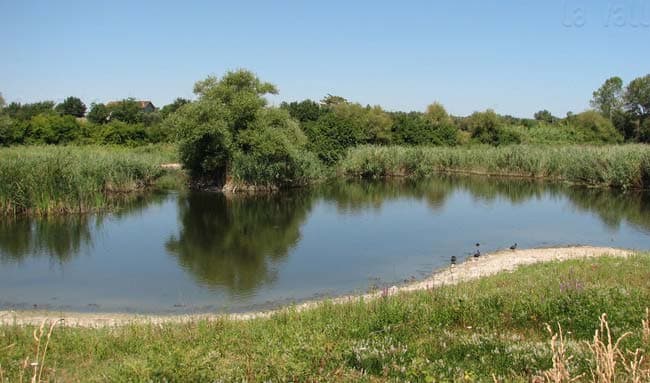 La Valle del Metauro, la nostra casa di Associazione Naturalistica Argonauta La Valle del Metauro, la nostra casa-Associazione Naturalistica Argonauta