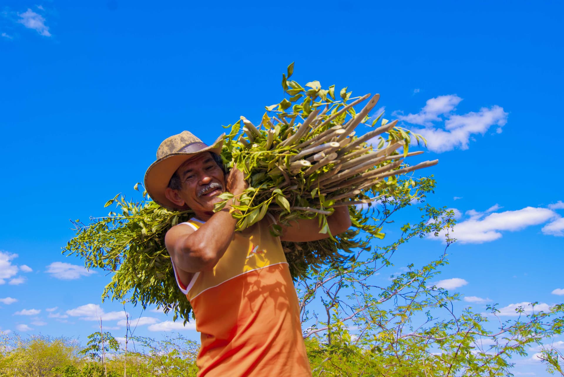 In Brasile per l'agricoltura familiare di CISV In Brasile per l'agricoltura familiare-CISV
