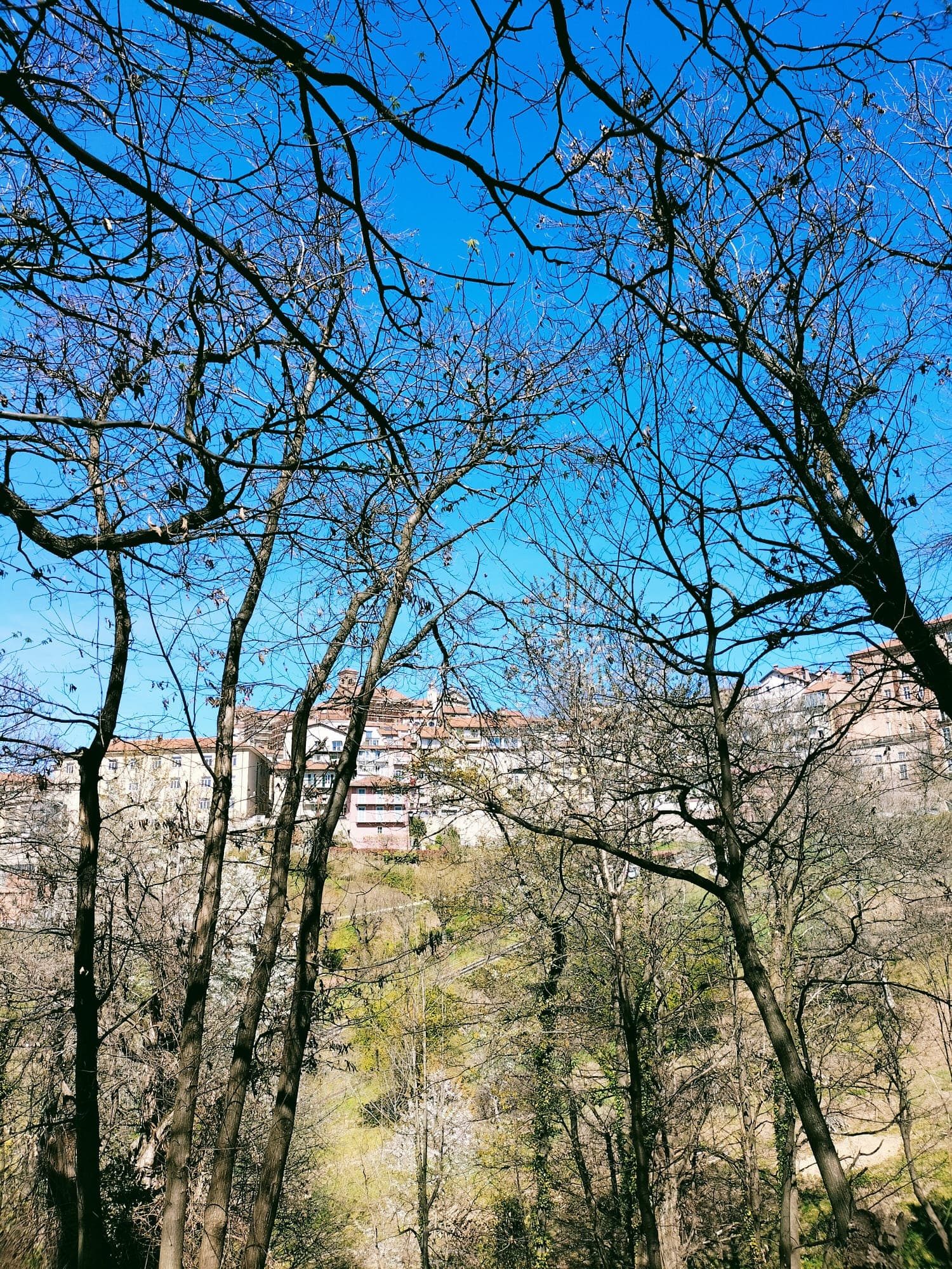 Lunga vita ai castagni della Nova di Proteo scs Lunga vita ai castagni della Nova -Proteo scs