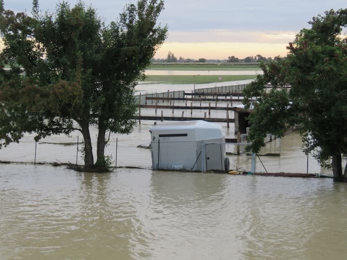 Aiutaci a salvare il centro di Equinia Aiutaci a salvare il centro-Equinia